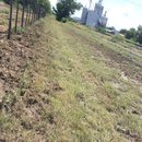 Roadtrip to Marfa (467499)