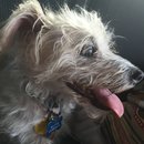 4th of July at Emma Long (467490)