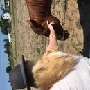 Roadtrip to Marfa (467456)