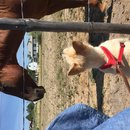 Roadtrip to Marfa (467613)