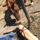 Roadtrip to Marfa (467624)