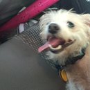 4th of July at Emma Long (467481)