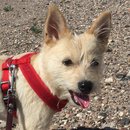 Roadtrip to Marfa (467595)