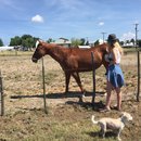 Roadtrip to Marfa (467566)