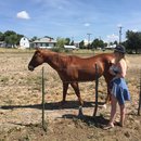 Roadtrip to Marfa (467808)