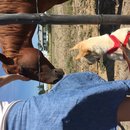 Roadtrip to Marfa (467710)