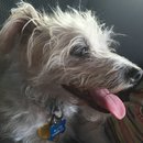 4th of July at Emma Long (467922)