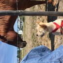 Roadtrip to Marfa (467733)