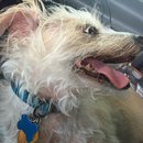 4th of July at Emma Long (467687)