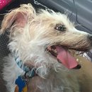 4th of July at Emma Long (467818)