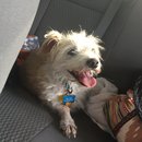 4th of July at Emma Long (467919)