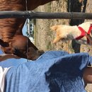 Roadtrip to Marfa (467827)