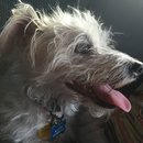 4th of July at Emma Long (467869)