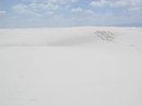 White Sands, NM (36565)