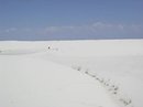White Sands, NM (36568)