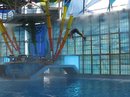 Trip to Sea World (36709)
