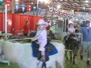 The Austin Rodeo (37837)