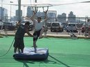 The New York Trapeze School (37974)