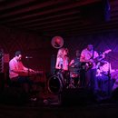 Kyloe Blue at Sidewinder (592185)