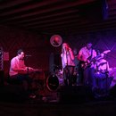 Kyloe Blue at Sidewinder (592270)