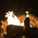 Random November Photos (595445)