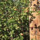 Voice and Exit (595460)