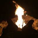 Random November Photos (595486)