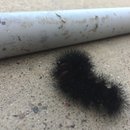 Random November Photos (595483)