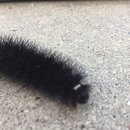 Random November Photos (595468)