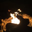 Random November Photos (595490)