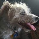 Random Baxter and Lolly Pictures (595463)