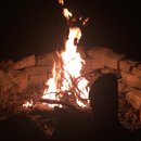 Random November Photos (595544)