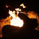 Random November Photos (595517)