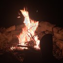 Random November Photos (595714)