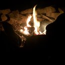 Random November Photos (595651)