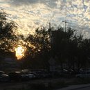 Voice and Exit (595739)