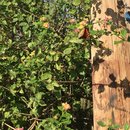 Voice and Exit (595540)