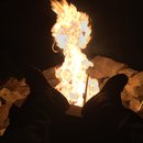 Random November Photos (595525)