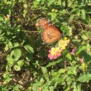 Voice and Exit (595543)