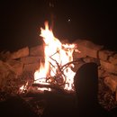 Random November Photos (595719)