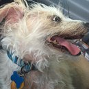 Random Baxter and Lolly Pictures (595667)