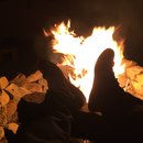 Random November Photos (595690)