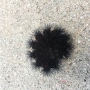 Random November Photos (595550)