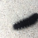 Random November Photos (595706)