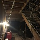 Kerville Folk Singers (595781)