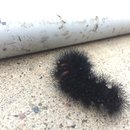 Random November Photos (595825)