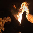 Random November Photos (595818)