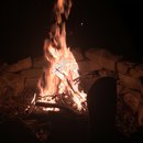 Random November Photos (595831)