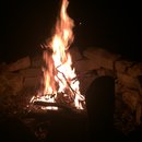 Random November Photos (595780)