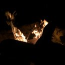 Random November Photos (595793)